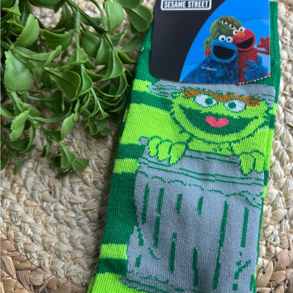 Sesame Street Character Socks
